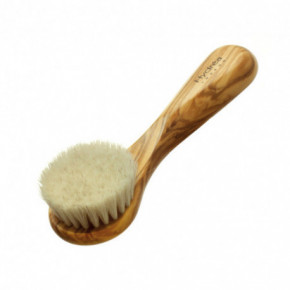 Hydrea London Olive Wood Facial Brush Soft/Medium Sejas birste