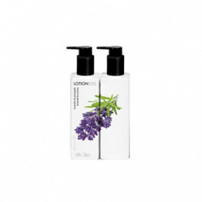 Kinetics Hand & Body Lotion Lavender & Pineapple Roku un ķermeņa losjons