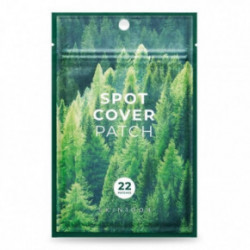 SKIN1004 Spot Cover Patch Plāksteri piņņu arstēšanai 22 gab.