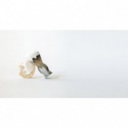 Leaf Shave Shave Soap Bar Skūšanās ziepes 85g