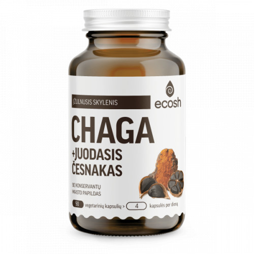 Ecosh Chaga Supplement Chaga Ar melno kīploku 90 kapsulas