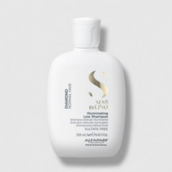 AlfaParf Milano Semi Di Lino Diamond Šampūns normāliem matiem 250ml