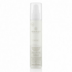 Paul Mitchell Awapuhi Wild Ginger Hydromist Blow-Out Spray Mitrinošs matu losjons 150ml