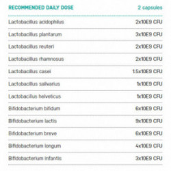 Ecosh Ecobiotic Lactic Acid Bacteria Laktobaktērijas 40 kapsulas