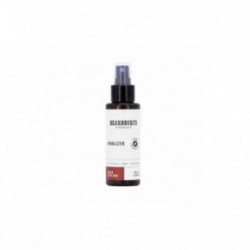 Beardburys Essentials Finalizer Final Touch Spray Matu veidošanas sprejs 100ml