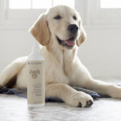 Norwex 2in1 Dog Shampoo and Conditioner Šampūns un kondicionieris suņiem 355ml