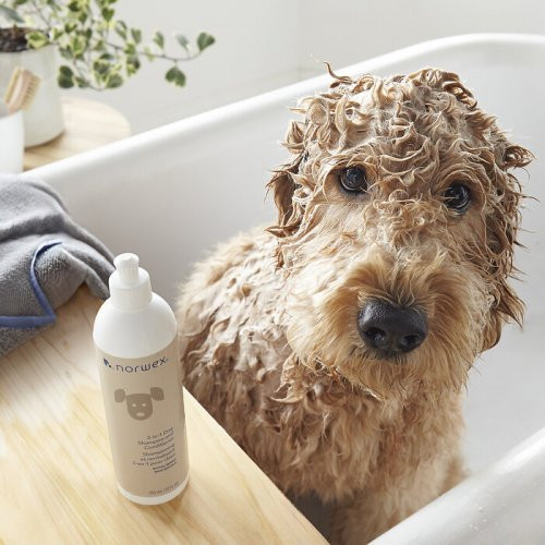 Norwex 2in1 Dog Shampoo and Conditioner Šampūns un kondicionieris suņiem 355ml