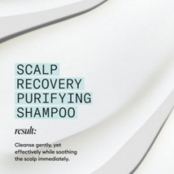 Nioxin Pro Clinical Scalp Recovery Purifying Shampoo Šampūns blaugznainai galvas ādai 200ml