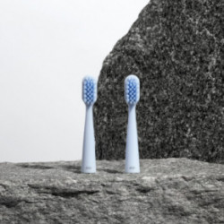 Alpine White Sonic Toothbrush Replacement Heads Zobu birstes maināmie uzgaļi 2vnt