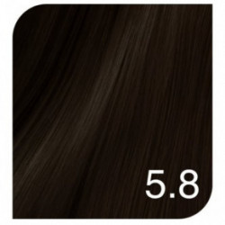 Revlon Professional Color Excel Gloss Acidic Gloss Treatment + Color Excel Gloss Energizer Matu krāsa un oksidatīva emulsija Komplekts