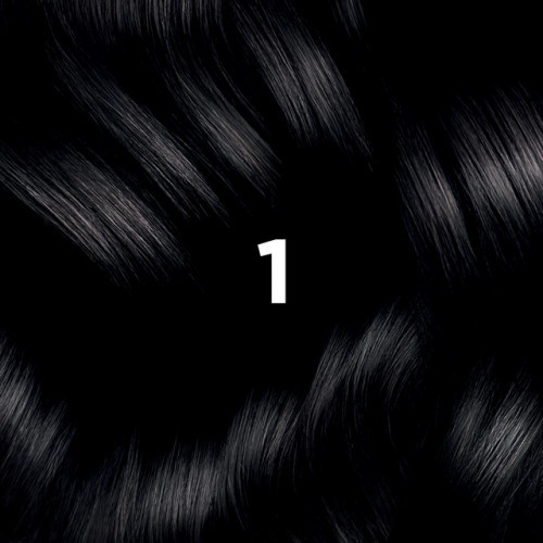 Phyto Permanent Hair Color Matu krāsa bez amonjaka 1 Black