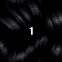 Phyto Permanent Hair Color Matu krāsa bez amonjaka 1 Black