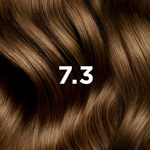 Phyto Permanent Hair Color Matu krāsa bez amonjaka 1 Black