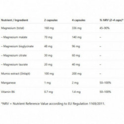 Ecosh Magnesium complex + Magnija komplekss ar mūmiju 90 kapsulas