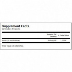 SWANSON Niacinamide 500mg Energy and Cardiovascular Support B3 vitamīns, niacīns 250 kapsulių