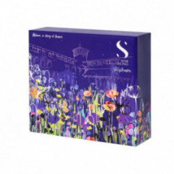 AlfaParf Milano SDL Holiday Blonde Gift Set Komplekts balinātiem matiem