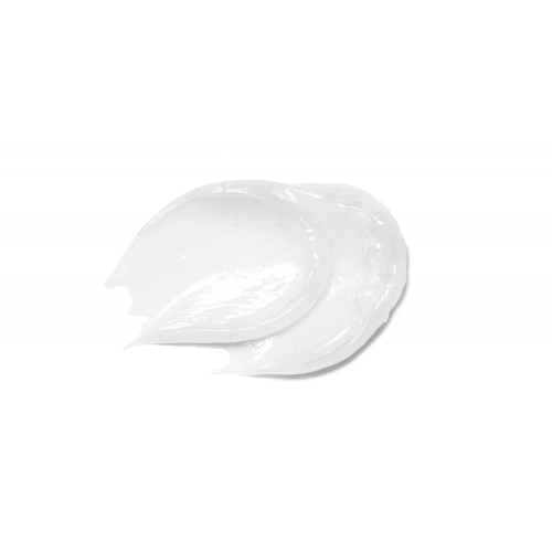 Transparent Lab Overnight Restoring Lip Treatment Lūpu atjaunojošs līdzeklis 15 ml