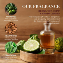 Baylis & Harding The Fuzzy Duck Bergamot, Hemp & Sandalwood Men's Luxury Wash Bag Gift Set Ceļojumu komplekts vīriešiem