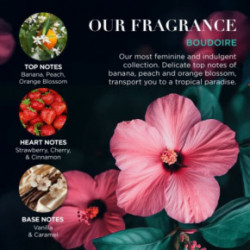 Baylis & Harding Boudoire 3 Hand Cream Set Roku krēmu komplekts 3x50ml