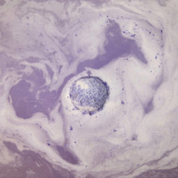 Spalvoti Kvapai Bath Bomb Vannas burbulis 160g