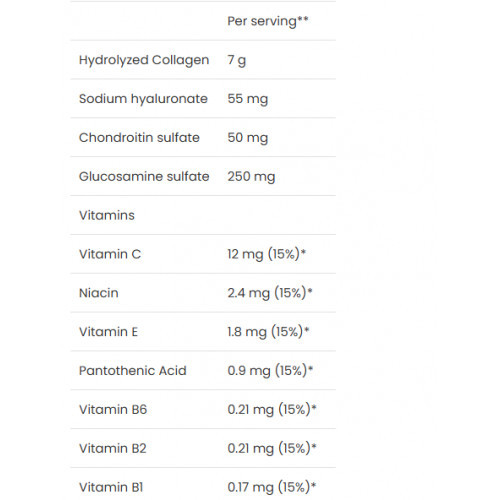 VPLab Nutrition Absolute Joint Pulverveida uztura bagātinātājs locītavām, skrimšļiem, kauliem 400g