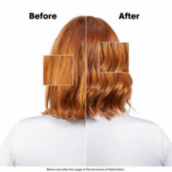 L'Oréal Professionnel Meteora Metal Detox TRIO Komplekts visiem matu tipiem.