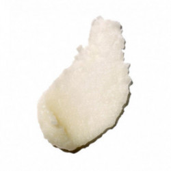 Benamor Alantoíne Protective Lip Balm Aizsargājošs lūpu balzams 12g