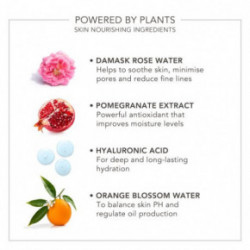 Delilah Wake Up Radiant Hydrating Mist Sejas ādas un grima migla 80ml