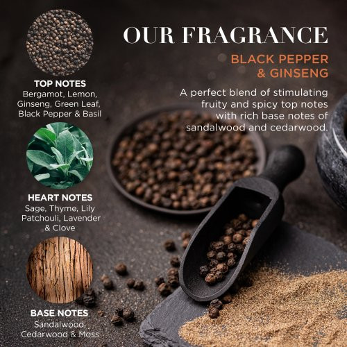 Baylis & Harding Signature Men's Black Pepper & Ginseng Gift Set Vīriešu ķermeņa kopšanas komplekts ar kosmētikas somiņu