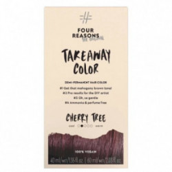 Four Reasons Original Takeaway Demi-Permanent Hair Color Matu krāsa 10.01 Ice Ice Blondy