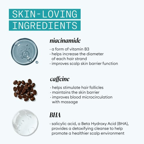 Nioxin Pro Clinical Age Defense Shampoo Detoksikācijas šampūns 240ml