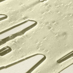 NatureLab Tokyo Perfect Smooth Shampoo Izlīdzinošs šampūns 340ml