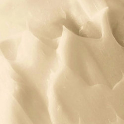 NatureLab Tokyo Perfect Smooth Conditioner Izlīdzinošs kondicionieris 340ml