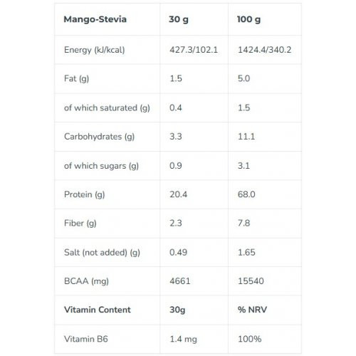 Iconfit Plant Protein Augu Proteīns 480g