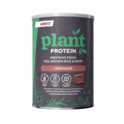 Iconfit Plant Protein Augu Proteīns 480g