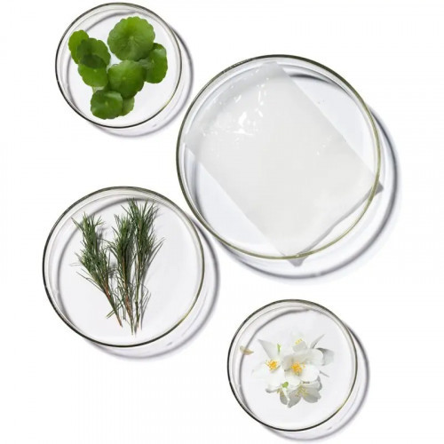 Terrazen PDRN Total Renew Mask Lokšņu sejas maska 25ml