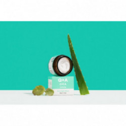 Q+A Cica Calming Overnight Mask Nomierinoša nakts sejas maska 50g