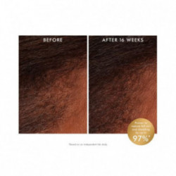 Moroccanoil Revitalizing Scalp Tonic Atsvaidzinošs galvas ādas toniks 100ml