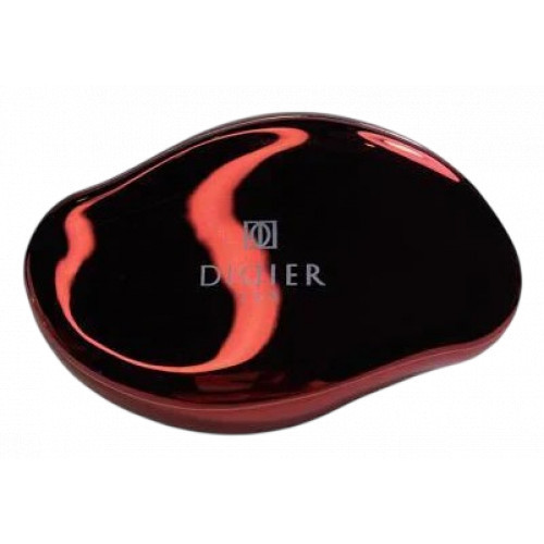 Didier Lab Nano Glass Foot File Stikla pēdu vīle Gold