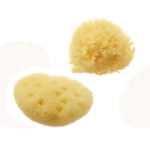 Hydrea London Cosmetic Sea Sponge Set Dabīgi kosmētikas sūkļi 2 gab.