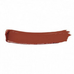 Make Up For Ever Artist Lip Shot Long Lasting Lip Lacquer Sick Lūpu krāsa 302