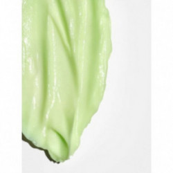 Briogeo Be Gentle Be Kind Avocado + Kiwi Mega Moisture Superfood Hair Mask Matu maska 240ml