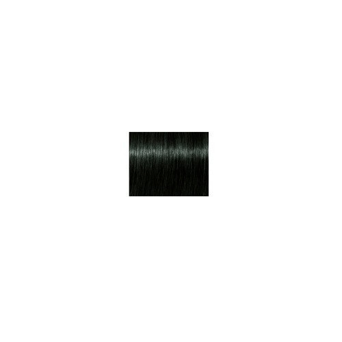 Schwarzkopf Professional Igora Royal Fashion Lights Permanent Highlight Color Creme Matu krāsa 60ml