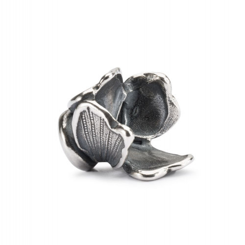 Trollbeads Visdārgākā lieta 1gab.