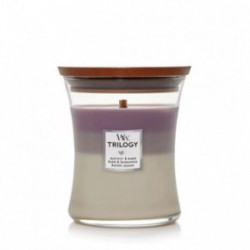 WoodWick Amethyst Sky Svece Heartwick