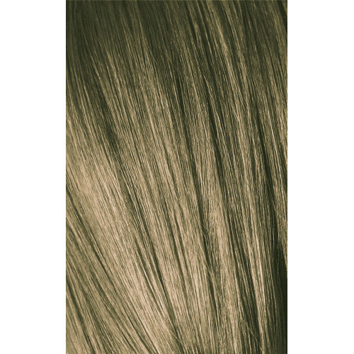 Schwarzkopf Professional Igora Royal Color10 Matu krāsa 60ml